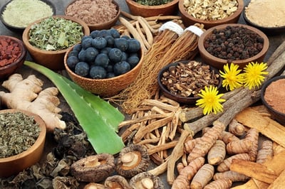 Ein zusammengesetztes Bild verschiedener nat&uuml;rlicher pflanzlicher Aphrodisiaka